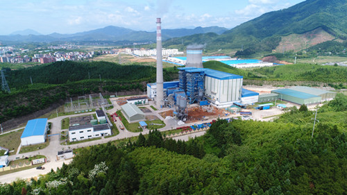 浦城圣农鸡业产业化建设开启“加速度”