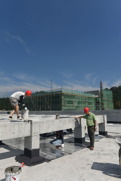 厂房建设如火如荼 圣农集团发力兽药疫苗领域